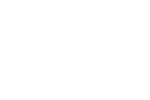 Vivus Inc.